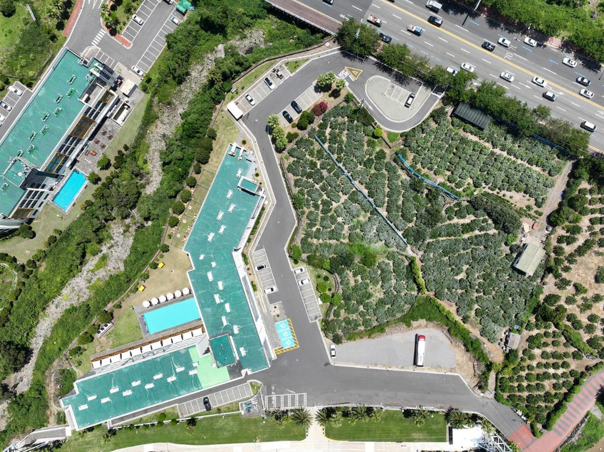 Shin Shin Hotel Jeju City Esterno foto