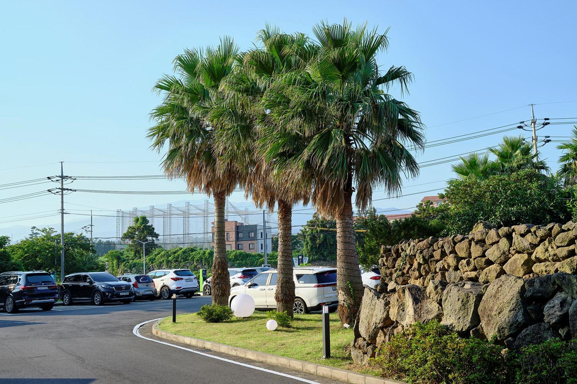 Shin Shin Hotel Jeju City Esterno foto